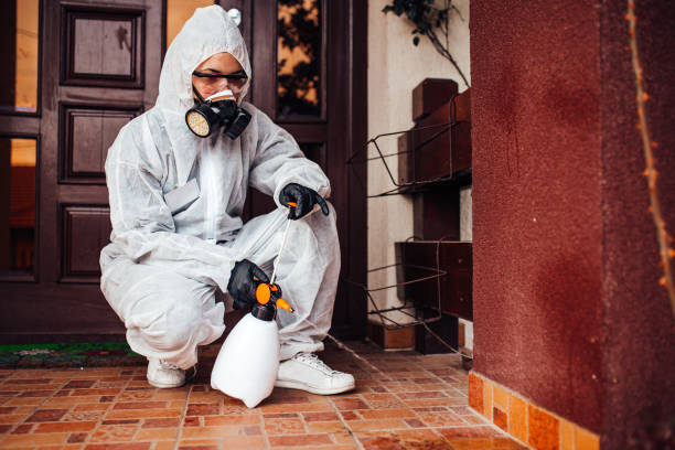 Attic and Crawl Space Rodent Treatment in Capitan