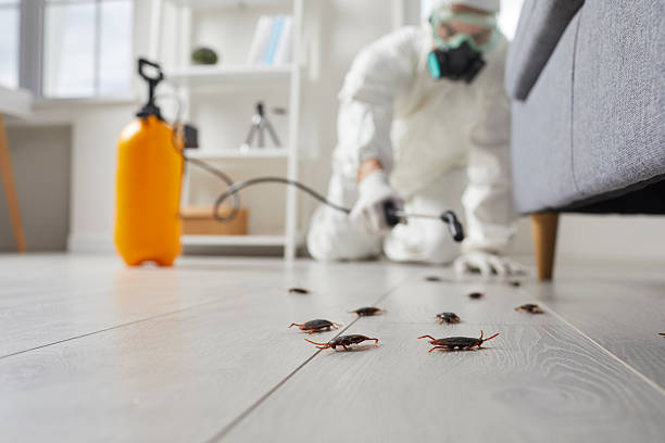 Commercial Rodent Management in Capitan
